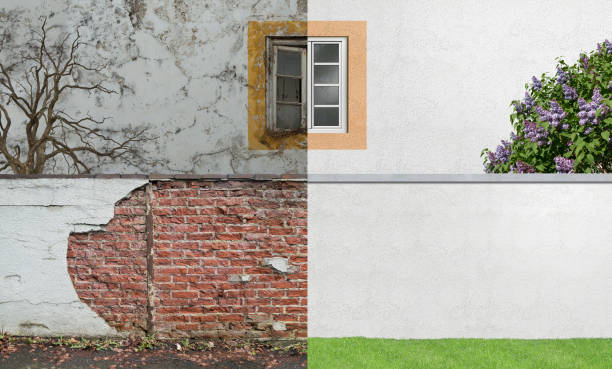 Professional Mold Removal in Coarsegold, CA
