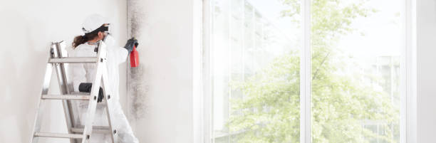 Best Attic Mold Removal  in Coarsegold, CA